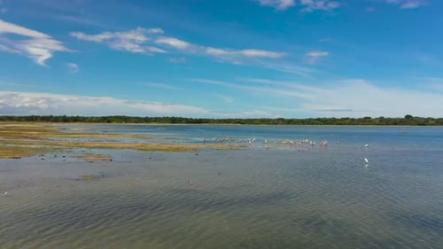 Tropical Landscape with a Lake Sri Lanka