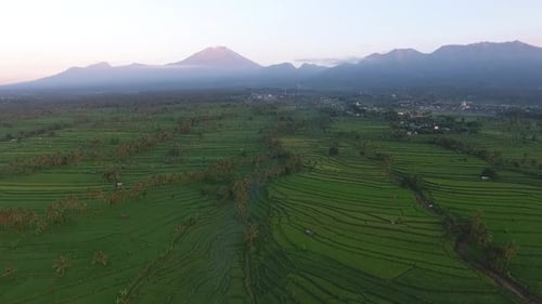 Aerial View of Green Rice Terraces at Sunrise