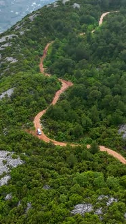 Vertical Video Aerial View of Verdant Forest After Rainfall Cinematic Delight for Nature Lovers