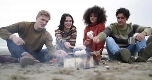 Group of young adult sitting around campfire toasting marshmallows