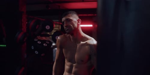 Boxer in a Gym