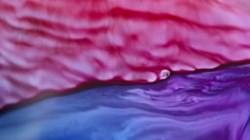 Vibrant red and purple ink swirling and merging underwater, creating fluid abstract patterns