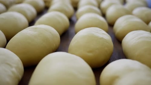 Bakery Bread Preparation Closeup of Shaped Dough Loaves Resting Before Baking