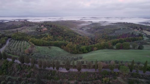Aerial view of countryside with villa, cypress trees, and fog at sunrise, Italy.