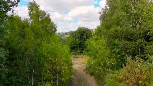 Aerial view of dense trees and houses, United Kingdom.