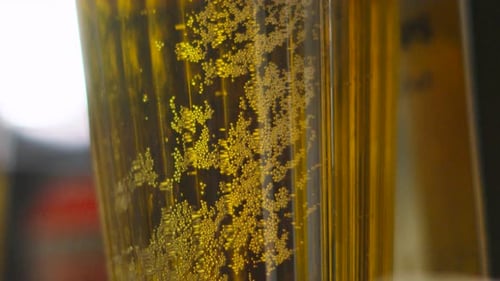 Bubbles in a Glass of Golden Beer