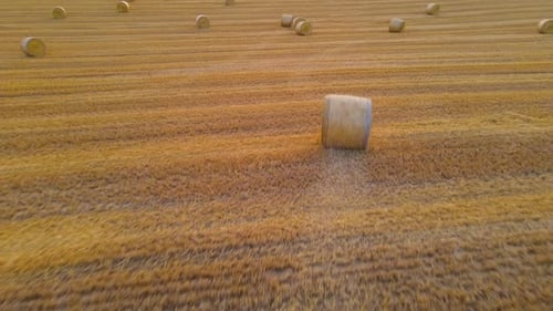 Round Hay Bale Rolls Down Slope on Harvested Wheat Agriculture Field Aerial View