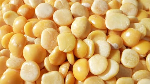 Close-Up of Yellow Split Peas for Cooking