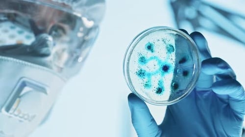 Scientist Wearing Respirator Mask, Coverall and Safety Glasses Looks at Petri Dishes with Bacteria,