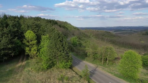 Flying over a winding road in the forest with trees on both sides in hungary spring.
