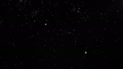 Echter Schnee, der langsam vor einem schwarzen Hintergrund fällt