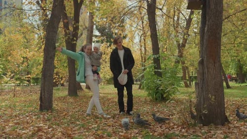 Family feeding pigeons in a city park in autumn