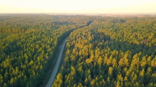 Birds eye view of road in lap of nature surrounded by dense green forest. Aerial.