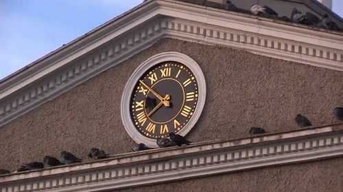 Classic Building Clock with Roosting Pigeons