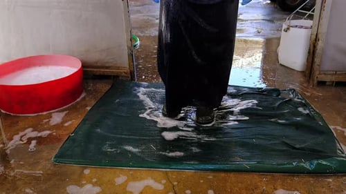 Person Cleaning Boots on Cleaning Mat and Washing