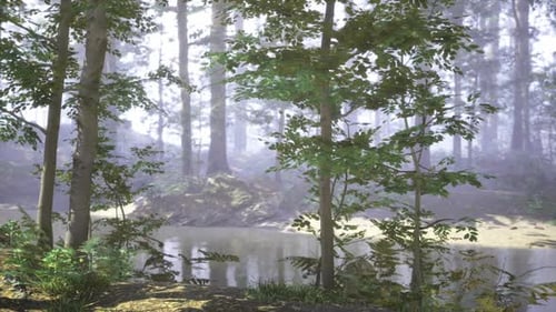 Lush Forest Scene with Tranquil River and Morning Light