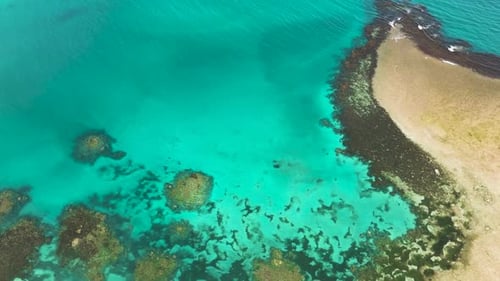 Aerial Survey of Transparent Turquoise Sea Water and Waves