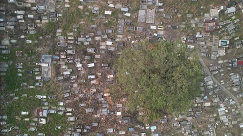 Aerial view flying over Guanarito cemetery, revealing rows of tombstones and a tree