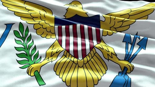Realistic Waving US Virgin Islands Flag Loop