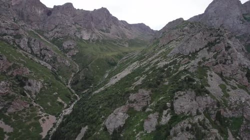 Drone View of a Green Gorge with High Rocky Cliffs