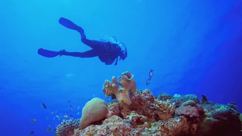 Underwater Ambience