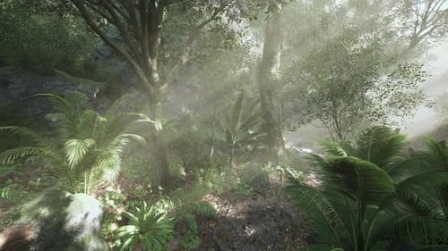 Sunlight Filtering Through Trees in a Lush Forest During the Early Morning