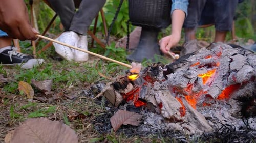 Friends Roasting Marshmallows Over Campfire in Nature