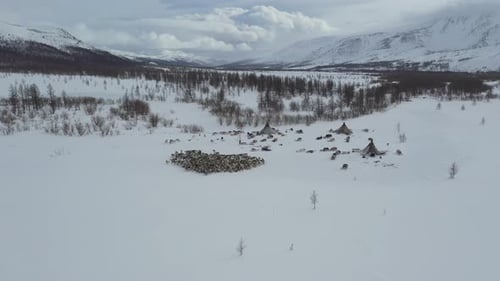 Aerial view of reindeer herding camp, Yamalo-Nenets Okrug, Russia.
