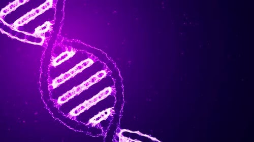 DNA Plexus Background Loop Purple