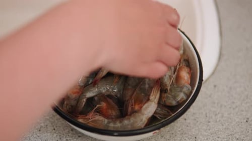 Woman Putting Fresh Uncut Tiger Prawns Into Iron Bowl Close Up