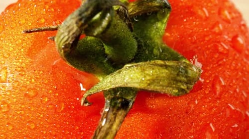 A macro video featuring a tomato with droplets of water