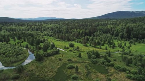 Aerial View of a Summer Forest and Curvy River Beautiful Wild Nature Landscape Sky Reflections on