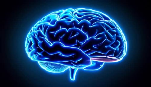 Glowing Blue Human Brain Anatomy Animation