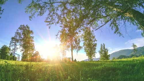 Mountain Meadow Timelapse at the Summer or Autumn Time Wild Nature and Rural Field Motorised Slider