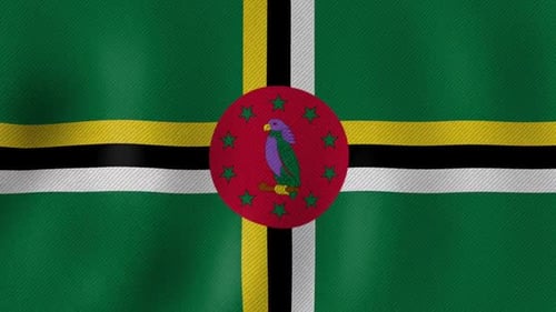 Waving Flag of Dominica Fabric Texture Animation