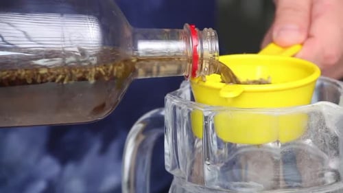 Um homem filtra vodka com infusão de flores de lavanda. Passa por uma peneira para remover as flores