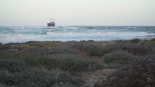 Coastline with Foamy Waves Rolling at Background and Old Ship Wrecks in Water Wide Shot