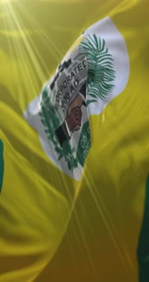 Realistic Waving Flag Animation for Official City Identity