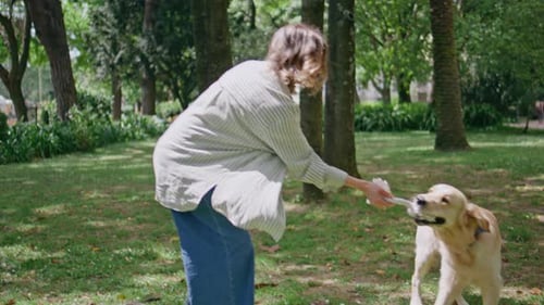 Pet Owner Enjoy Game Golden Retriever in Beautiful Park Closeup Energetic Dog