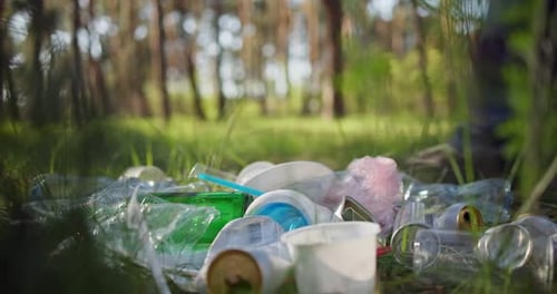 A Man Walks Past a Pile of Garbage in the Forest and Throws a Glass Bottle at It