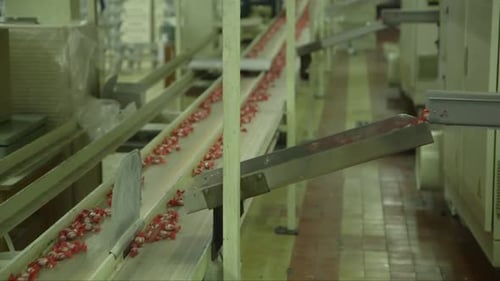 Candy Conveyor Belt in Food Processing Plant