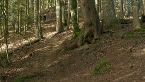 Mountain biker rides down a steep hill in a forest