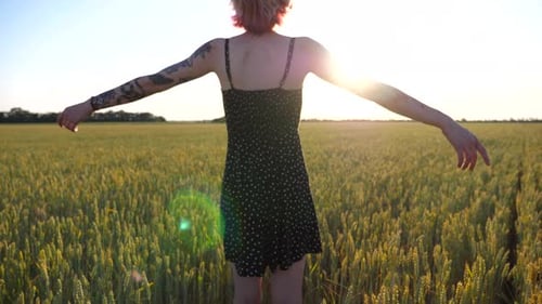 Carefree Hippie Girl in Dress Standing on Green Barley Field and Raising Hands at Sunset Happy Punk