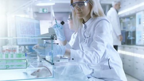 Scientists Inspecting Mice in High Tech Laboratory