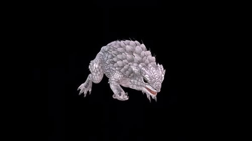 Spiny Lizard Run Idle