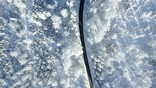 Scenic Road Through a Snowy Winter Mountain Forest