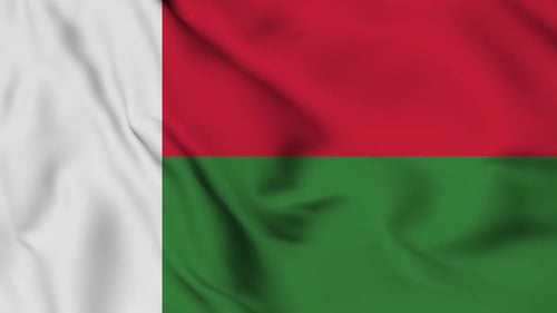 Madagascar National Flag Realistic Waving Cloth Animation