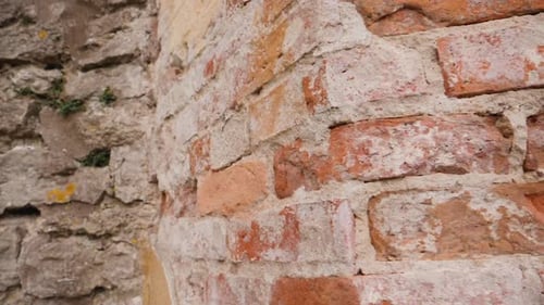 Steady motion along an old brick wall