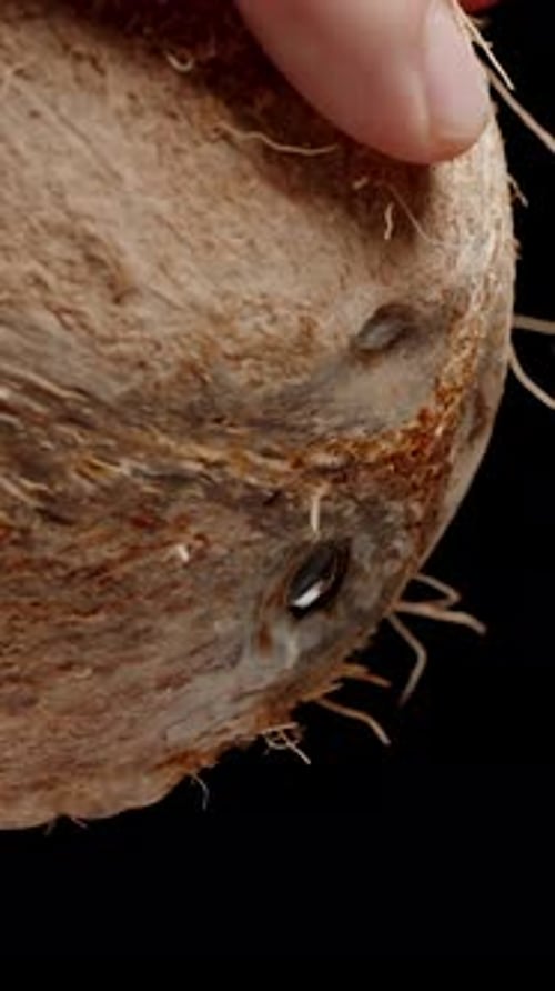 Vertical video. Close-up of a Coconut Held by a Man and Pouring Juice from a Hole. Slow Motion.