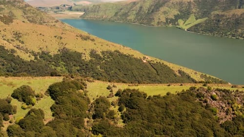 sun, europe, trees, woods, yellow, above, natural, trunk, roadway, scenery, car, asphalt, way, trans